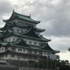 名古屋城の本丸御殿と天守閣の金鯱を見てきた