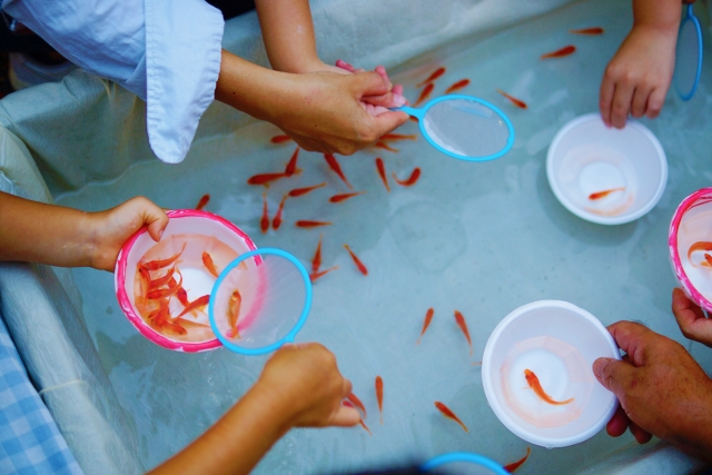 夏祭り 金魚すくいの基本と方法